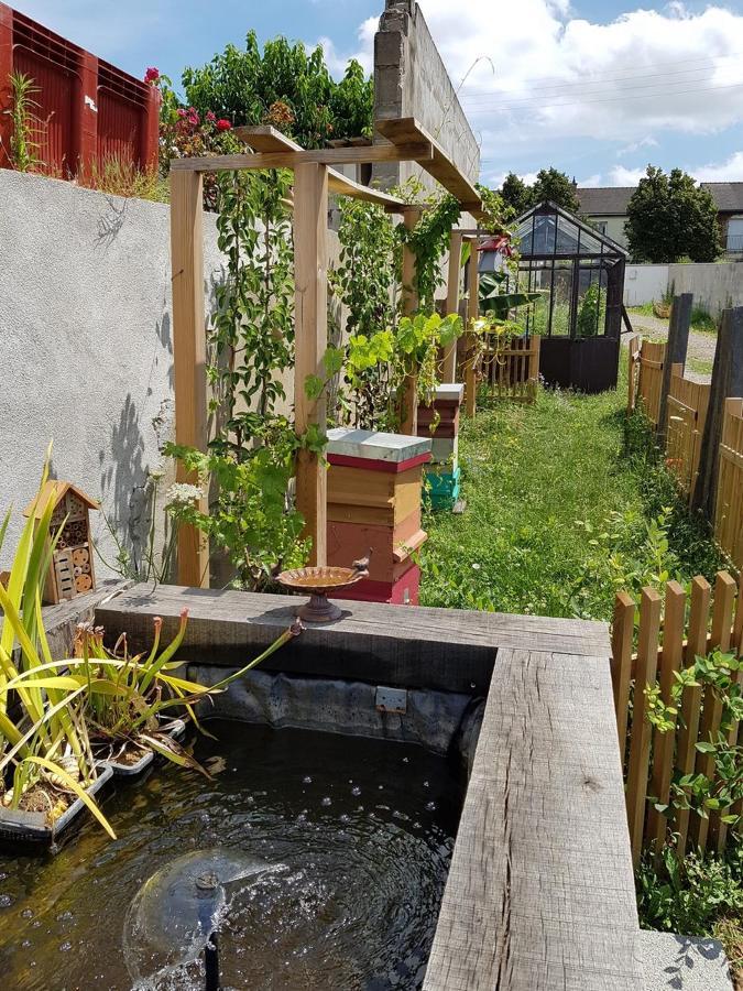 Angers Green Lodge - Cosy Studio 外观 照片